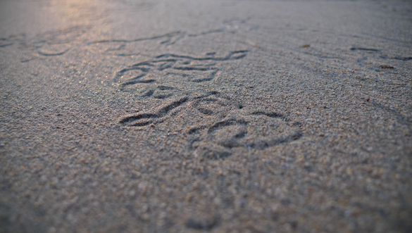 Tracks