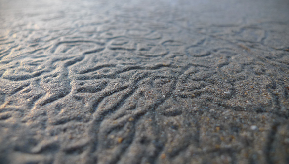 Tracks