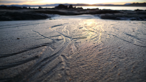 Tracks