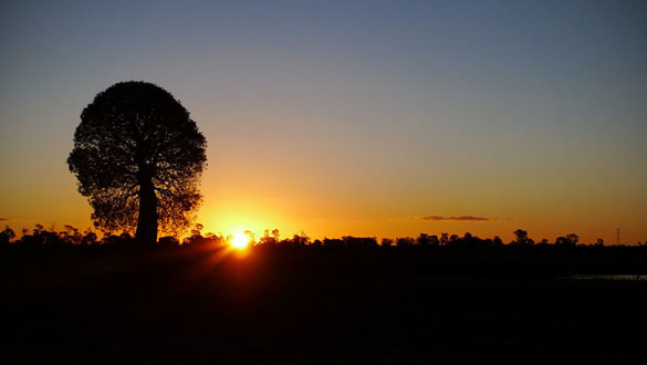 Sunsets