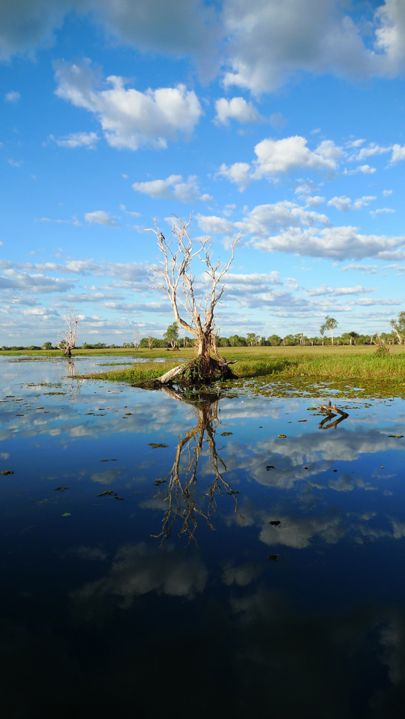 Yellow Water, Kakadu National Park, NT