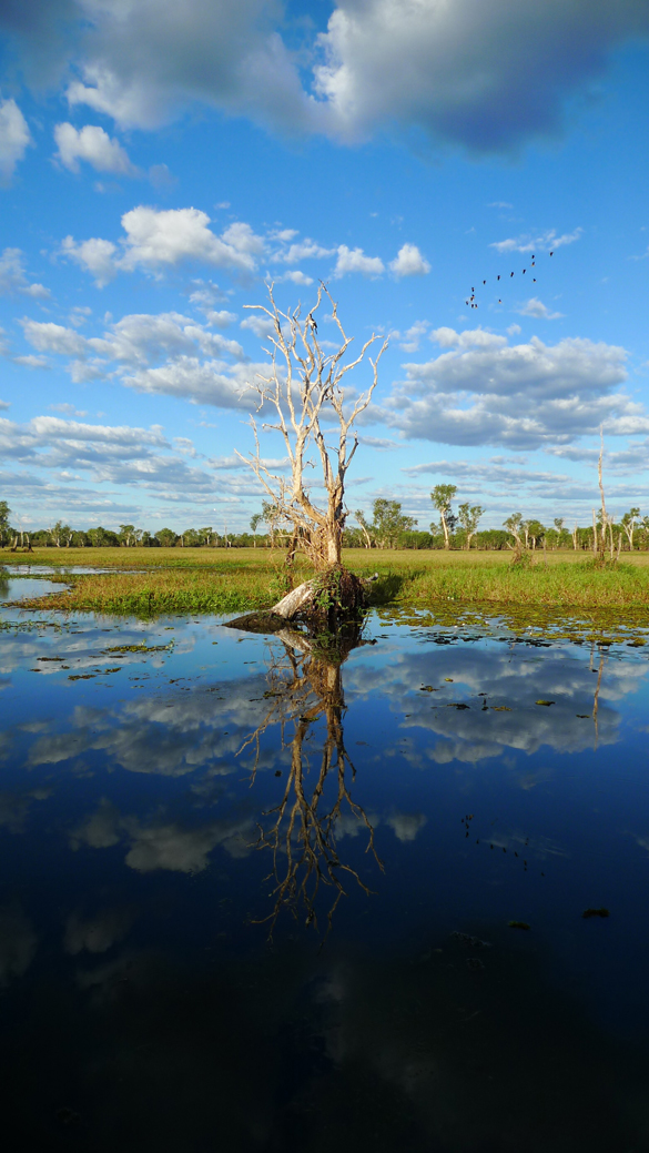 Yellow Water, Kakadu National Park, NT