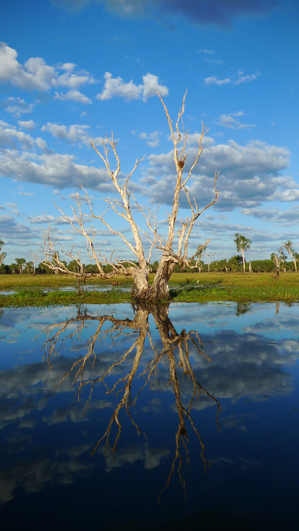 Yellow Water, Kakadu National Park, NT
